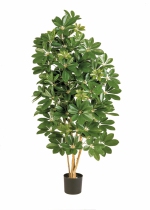 Natural Schefflera groen 110cm